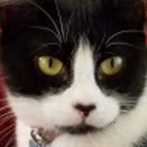 Meet your Posher, Randy